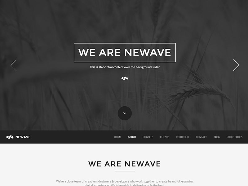 newave-one-page-parallax-theme