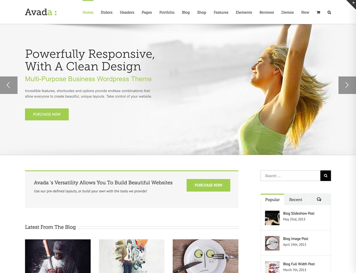 avada-multipurpose-wordpress-theme