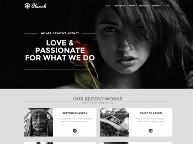 alamak-one-page-portfolio-theme