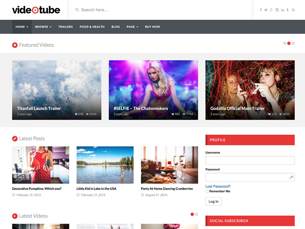 videotube-video-theme