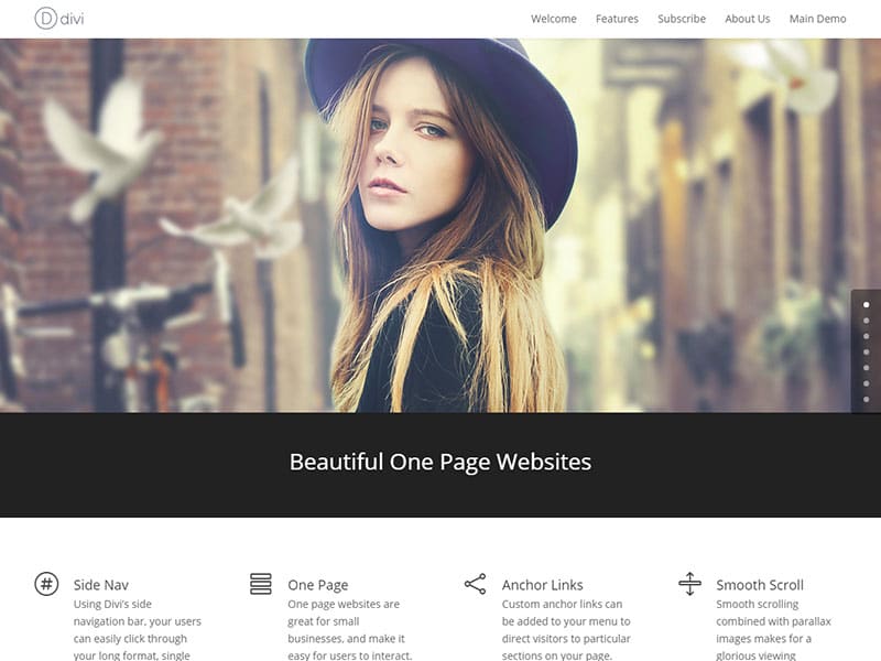 divi-one-page