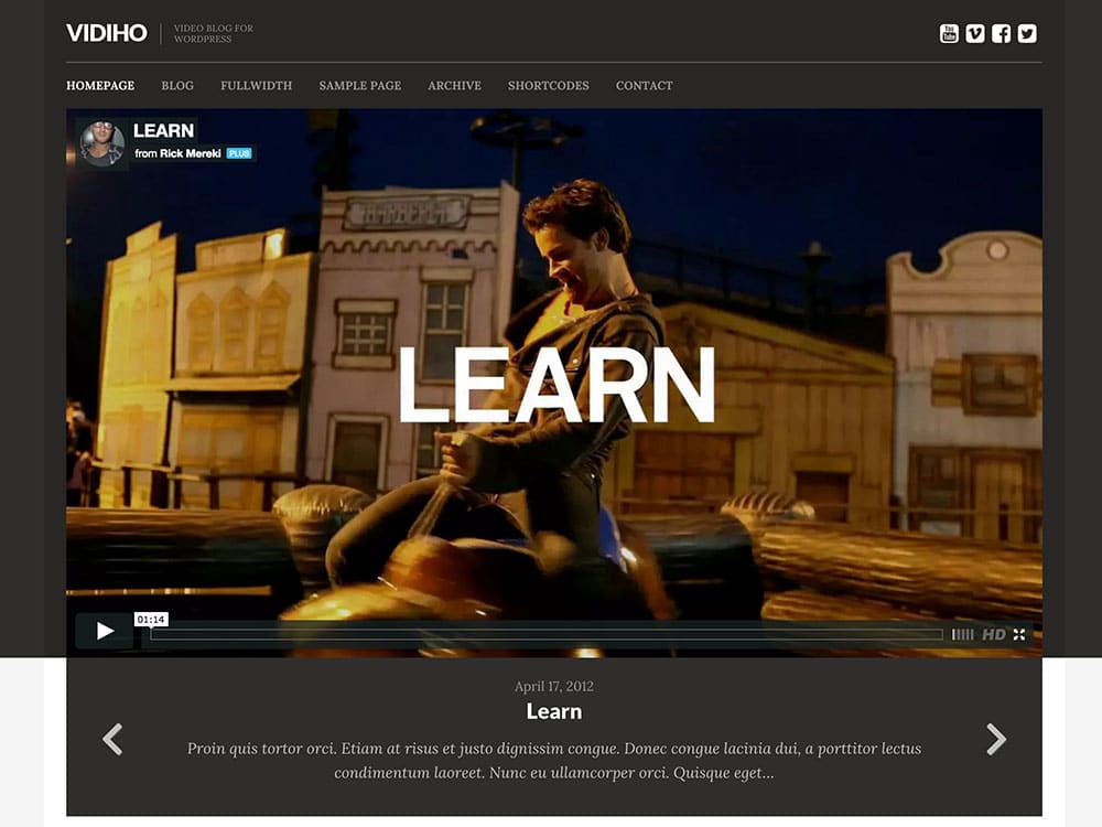 vidiho-video-blog-theme