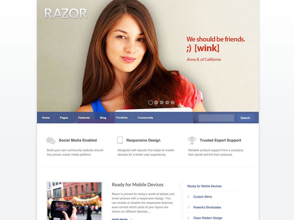 razor-wordpress-theme