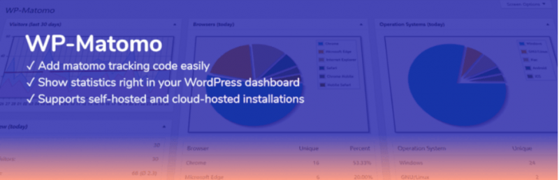 WP matomo best google analytics alternative for wordpress