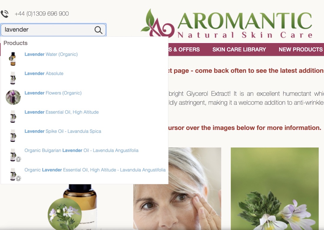 site-search-360-search