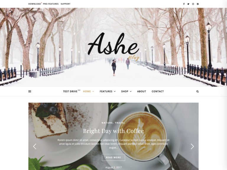 The Ashe theme.