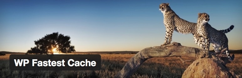 best-caching-plugins-4-wp-fastest-cache