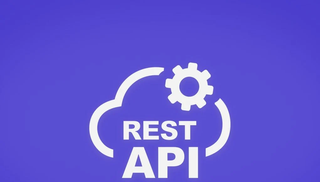 Best REST API WordPress Plugins (Free and Paid)